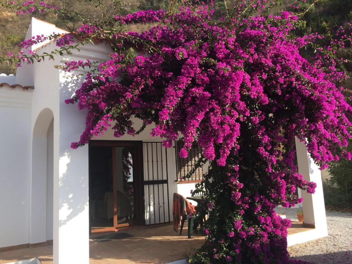 Belvilla By Oyo Casa Martijo Arenas  Εξωτερικό φωτογραφία
